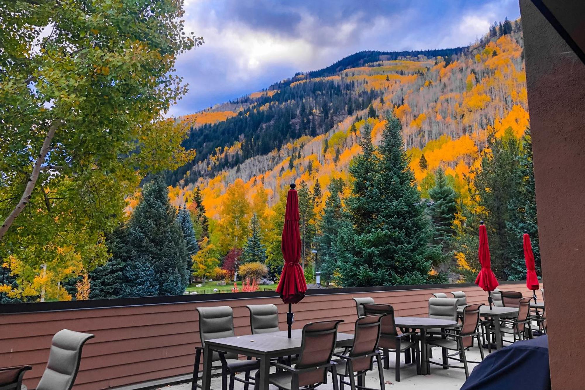 Fallridge Vail Bilik gambar